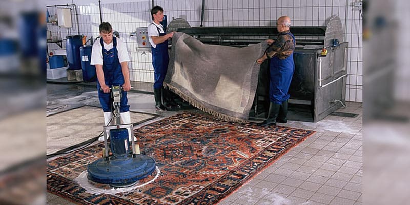 Professional Upholstery and Carpet Cleaning Company