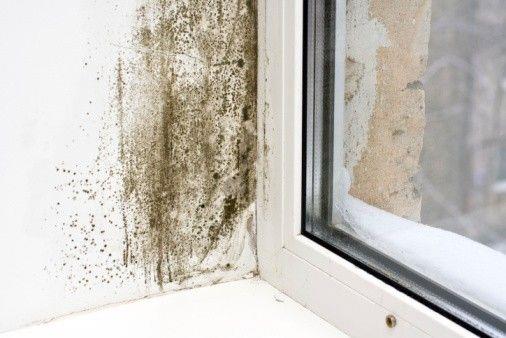 Prevent the growth of mold and mildew at homes